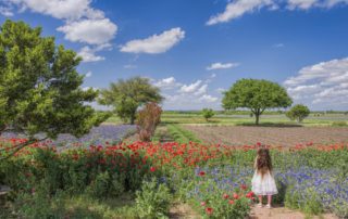 Road Trip to Fredericksburg, Texas for Memorial Day Weekend