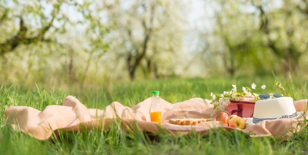 Enjoy a Dreamy Picnic Date in the Texas Hill Country