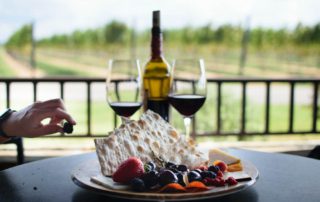 Explore the Texas Hill Country Wine Tours