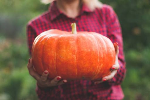 Woman enjoying a Pick Your Own Pumpkin experience in the Texas Hill Country