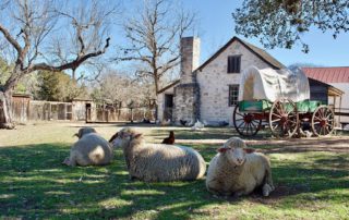 Your Guide to Weekend Getaways in Texas Hill Country