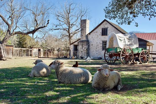 Your Guide to Weekend Getaways in Texas Hill Country